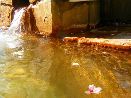 二股温泉天然湯の華「ひめの華」